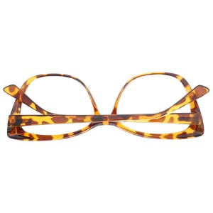 Plastic Reading Glasses